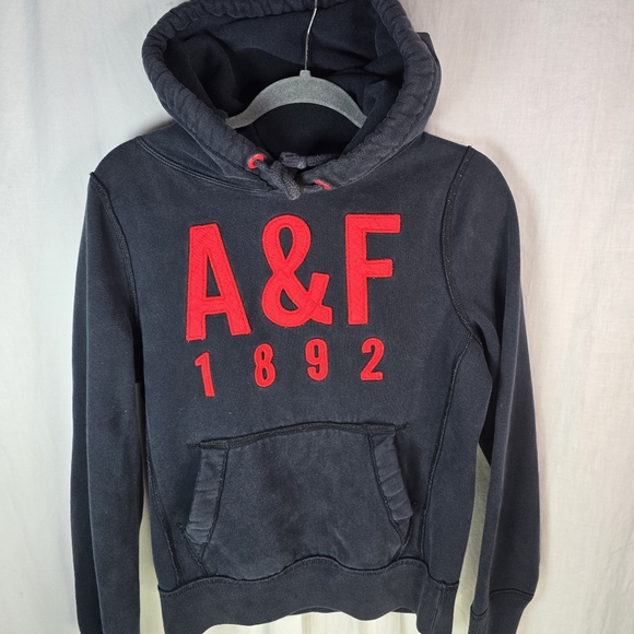 Abercrombie & Fitch Womens Hooded Sweater Size Small in Blue - Picture 1 of 11